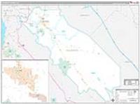 San Benito, Ca Carrier Route Wall Map